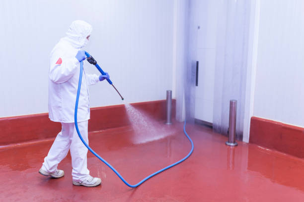 Best Sidewalk and Walkway Cleaning  in Riverdale, NJ