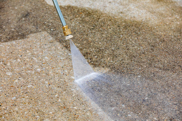 Best Driveway Pressure Washing  in Riverdale, NJ